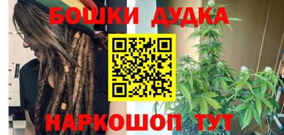 сатива Лесосибирск
