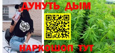 сатива Лесосибирск
