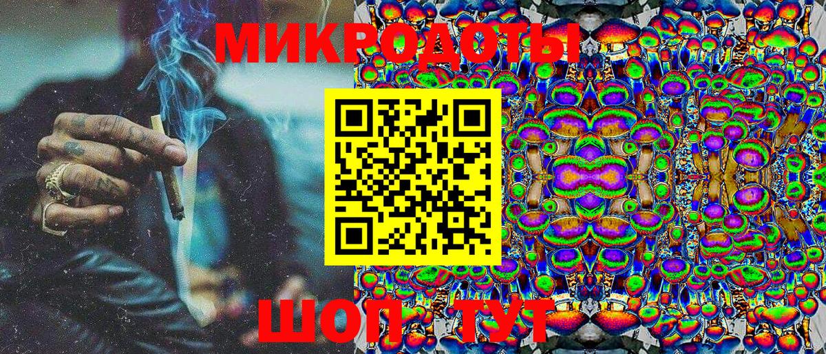Галлюциногенные грибы Psilocybine cubensis Ипатово