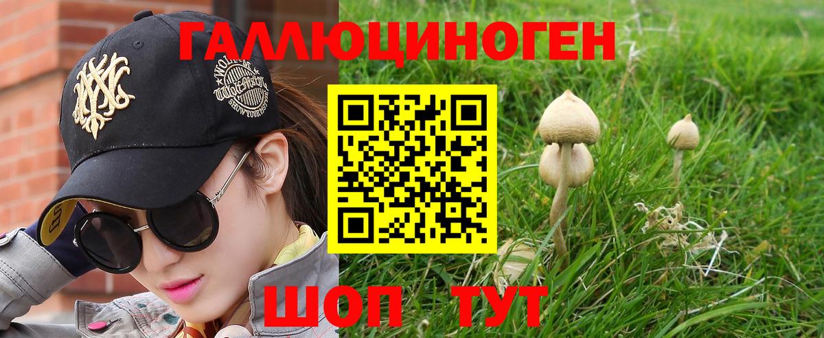 Ипатово  Псилоцибиновые грибы Psilocybine cubensis  Вход с VPN 